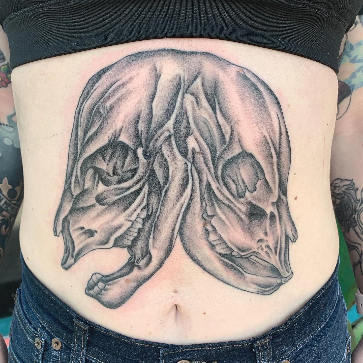 conjoined cowskull - bg.JPG