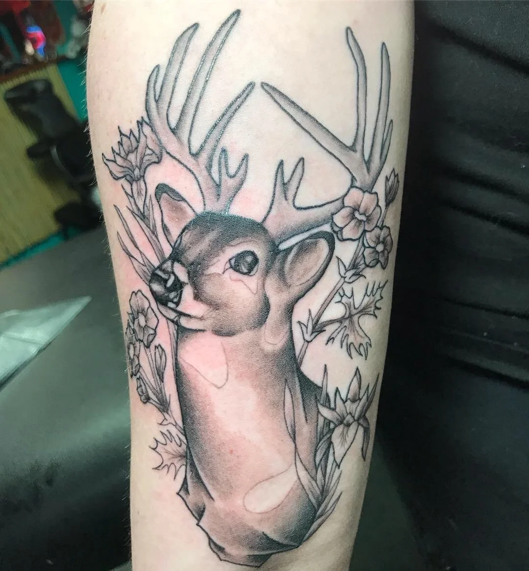 stag bust 2 - bg.JPG