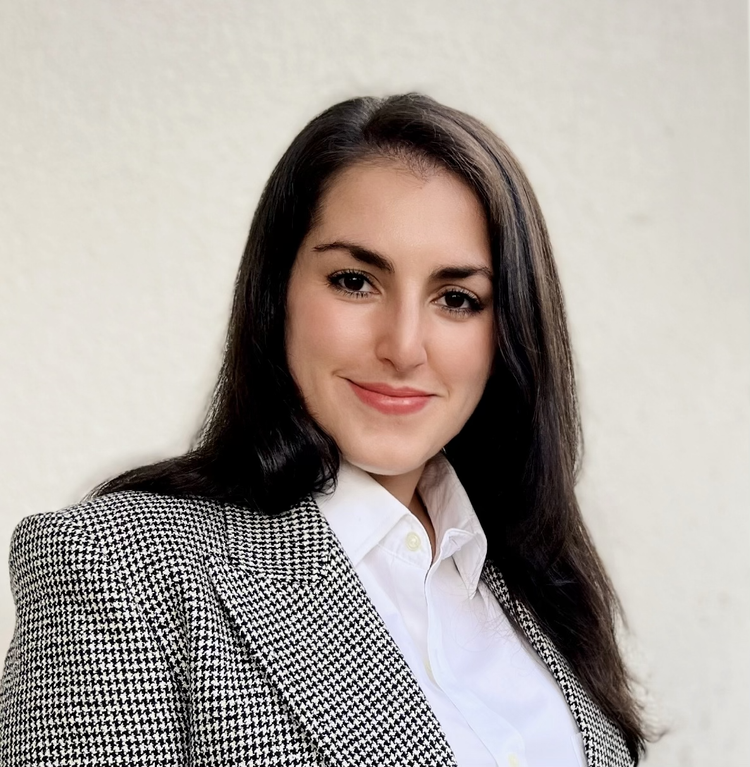 Rachel Parodneck, LCSW, CGP - Founder & Psychotherapist at Rachel Parodneck & Associates Psychotherapy, NYC