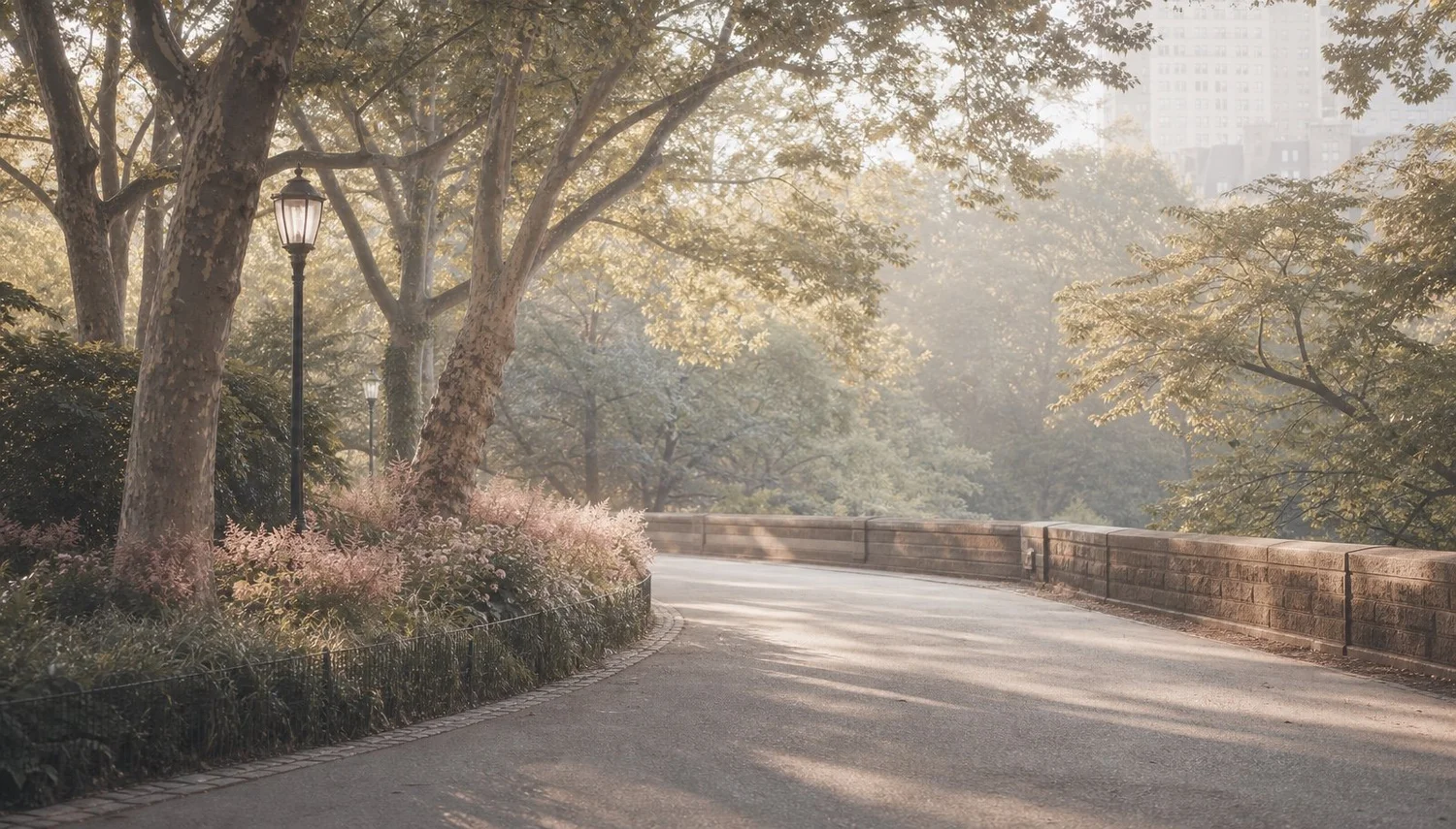 A quiet walk in Central Park - the small resets that ease burnout