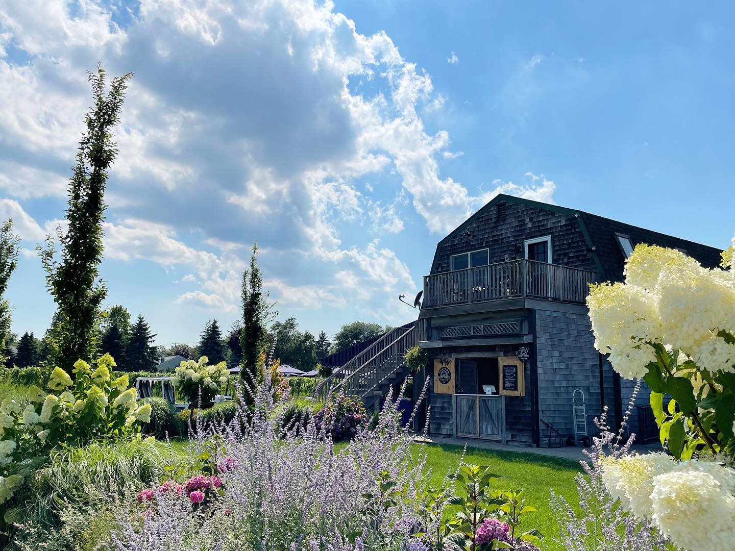 As Labor Day unofficially marks the changing of seasons, we would like to thank everyone who has visited us at @peconicbayvineyards during our first summer! We had a blast and hope we provided you with a tasty break from the heat.

And if you haven&r