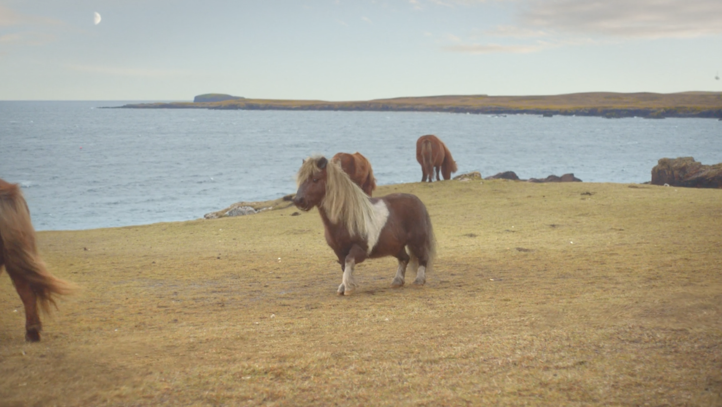 3 mobile: Moonwalking Pony | production company: Blink Productions | Director: Dougal Wilson