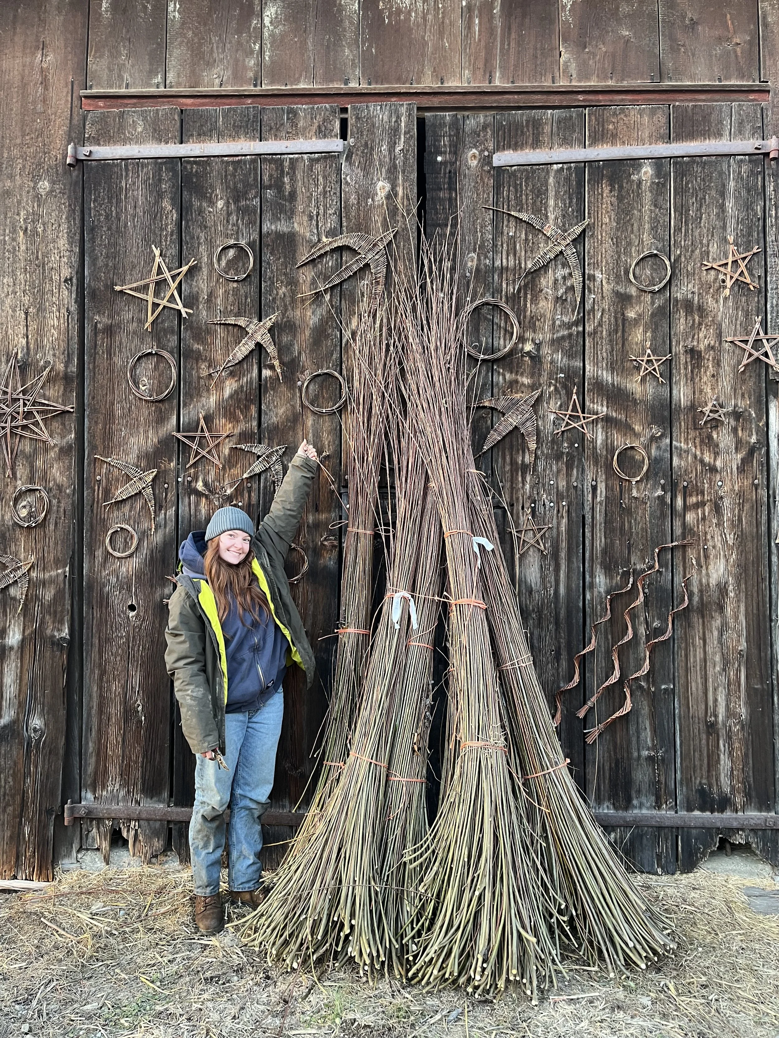 And so harvest begins. . .