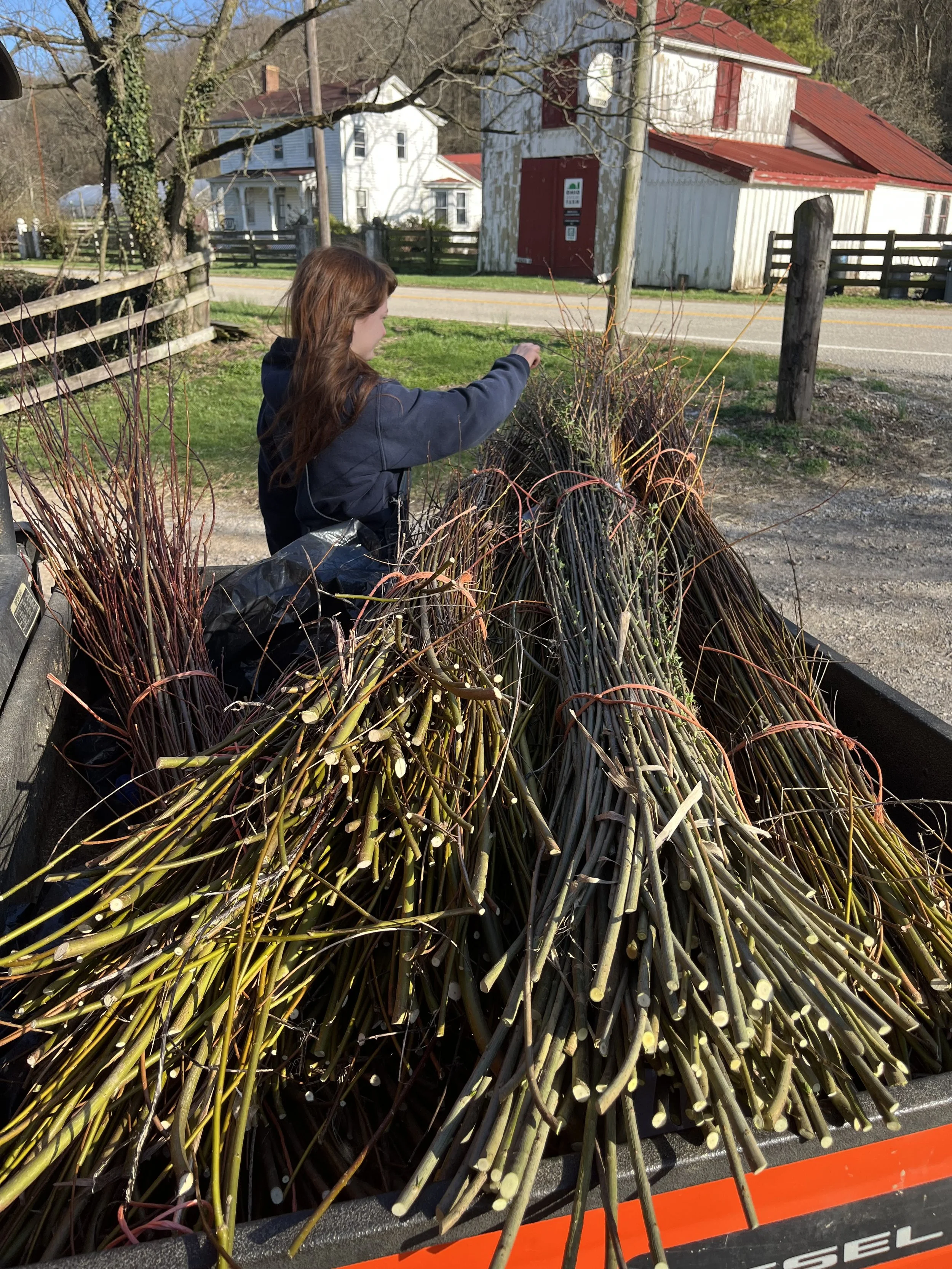 Farming would be so cool if only. . . 