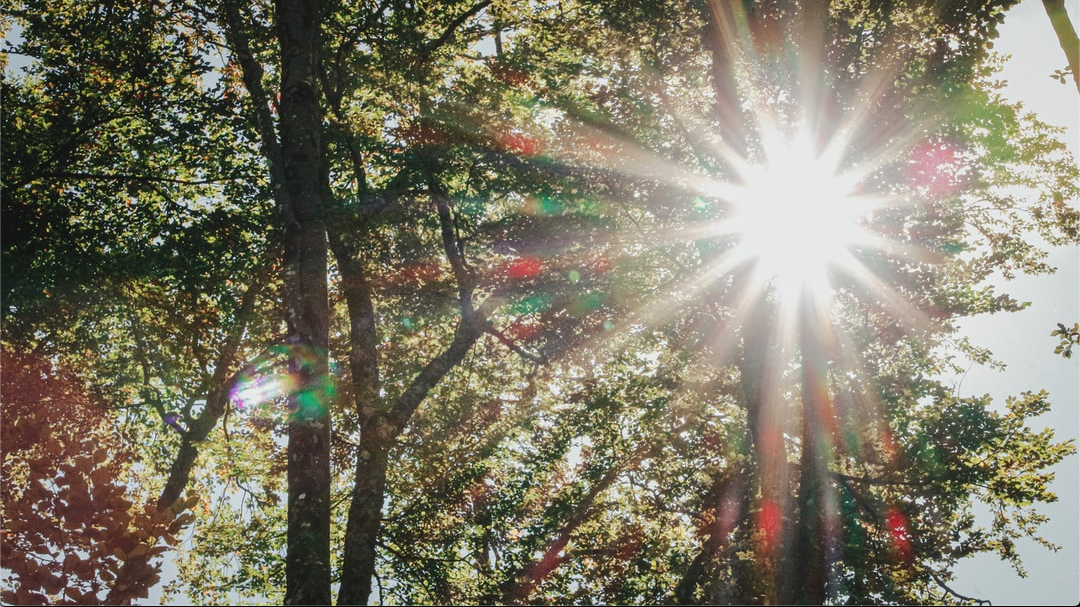 Screenshot 2021-10-23 at 11.08.52 AM.png