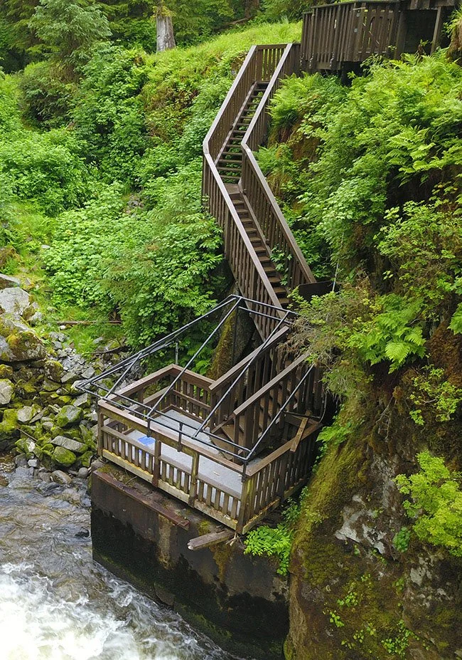 Anan 8.JPG