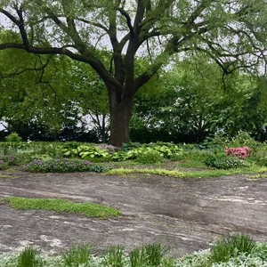 About Me — Alyssa Zimmerman