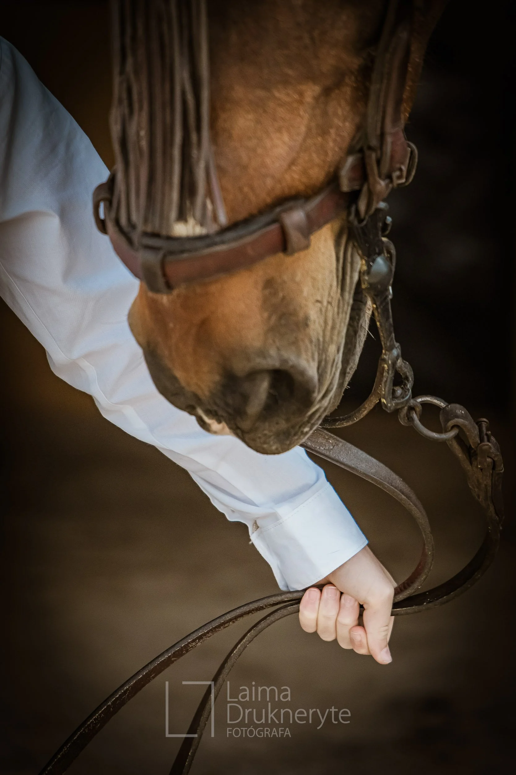 laimafoto.lt-260425. 00006.jpg