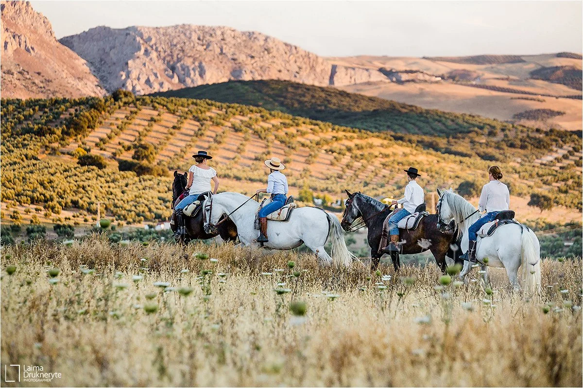 Los susurradores de caballos 