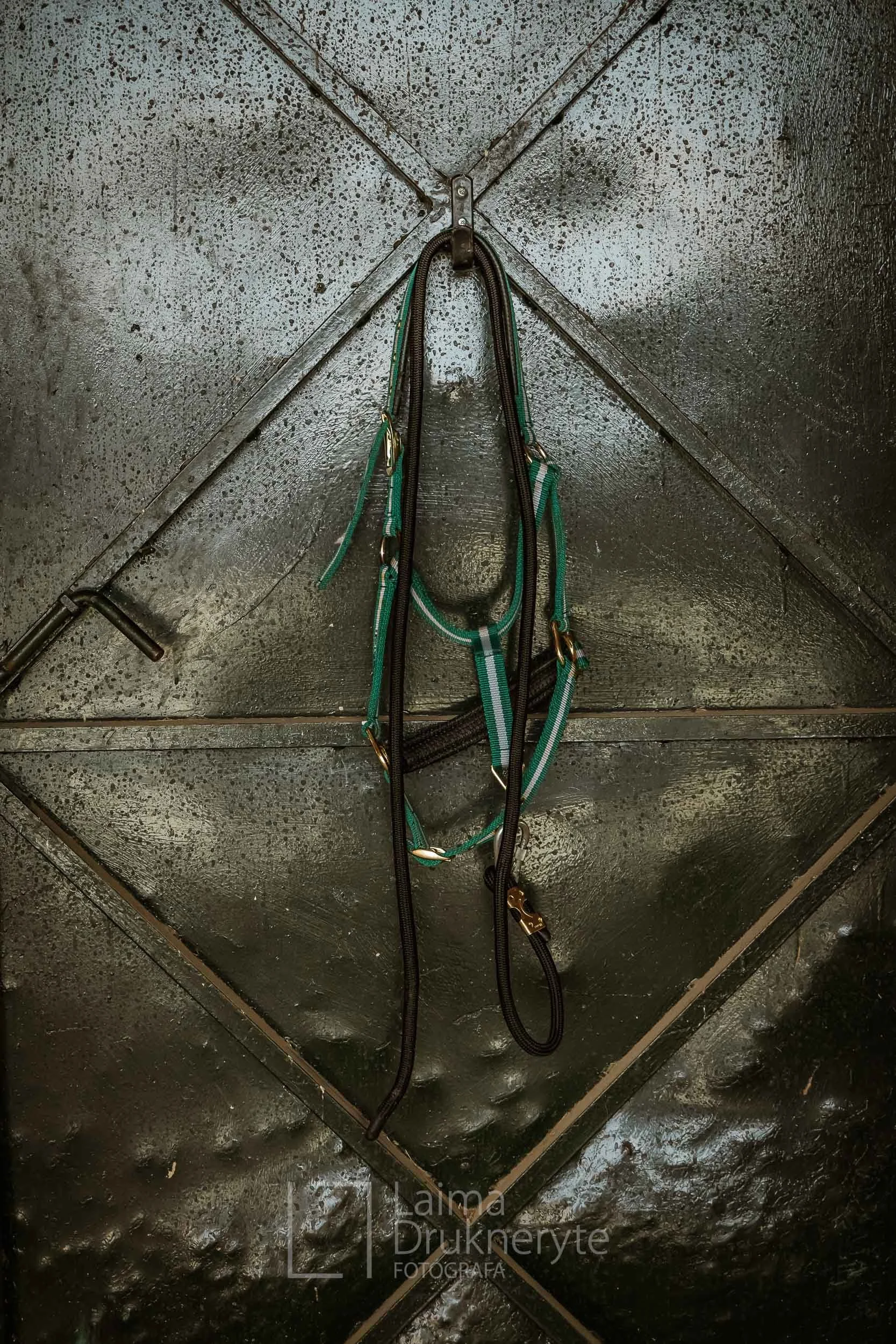 laimafoto.lt-260425. 00055.jpg