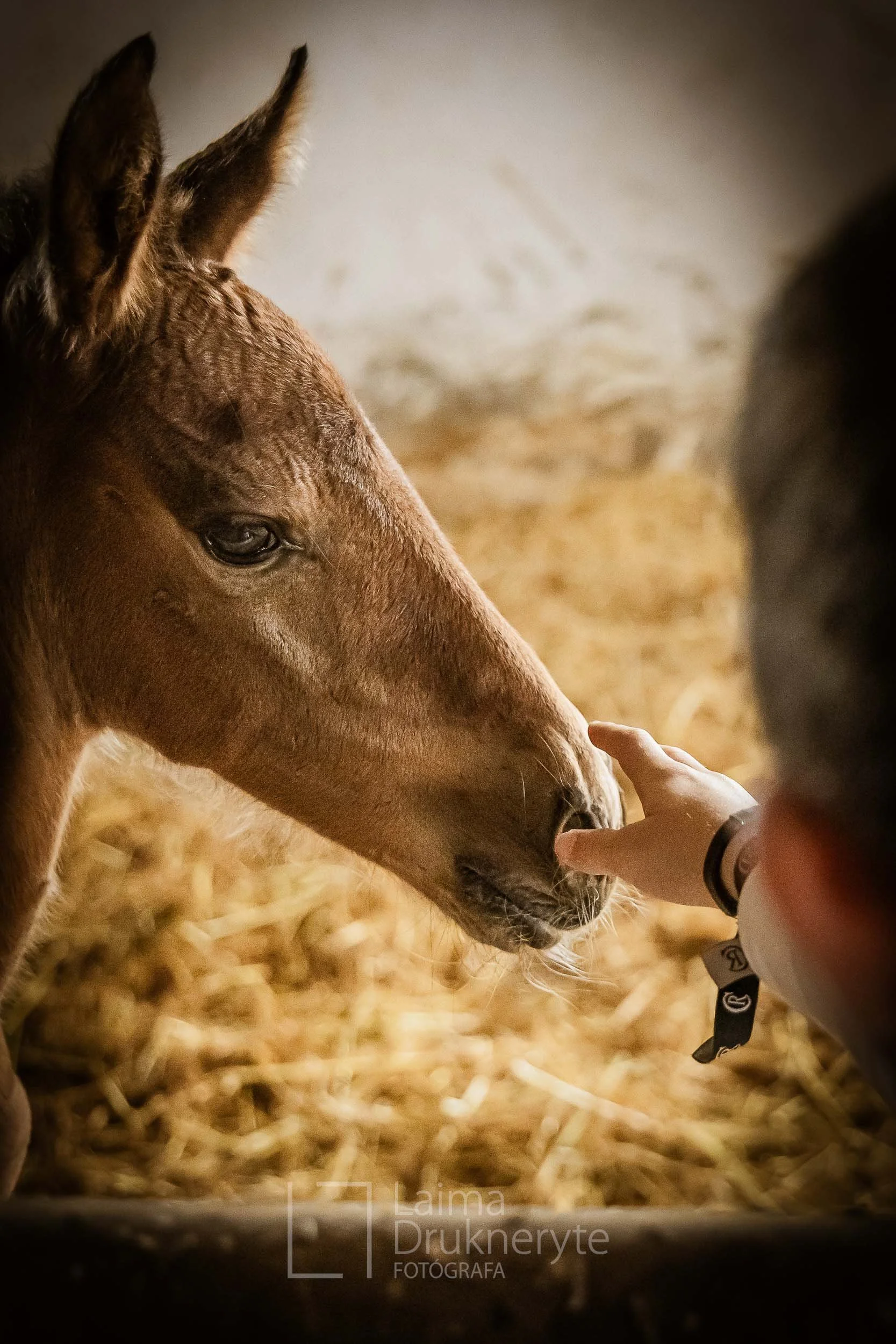 laimafoto.lt-260425. 00117.jpg