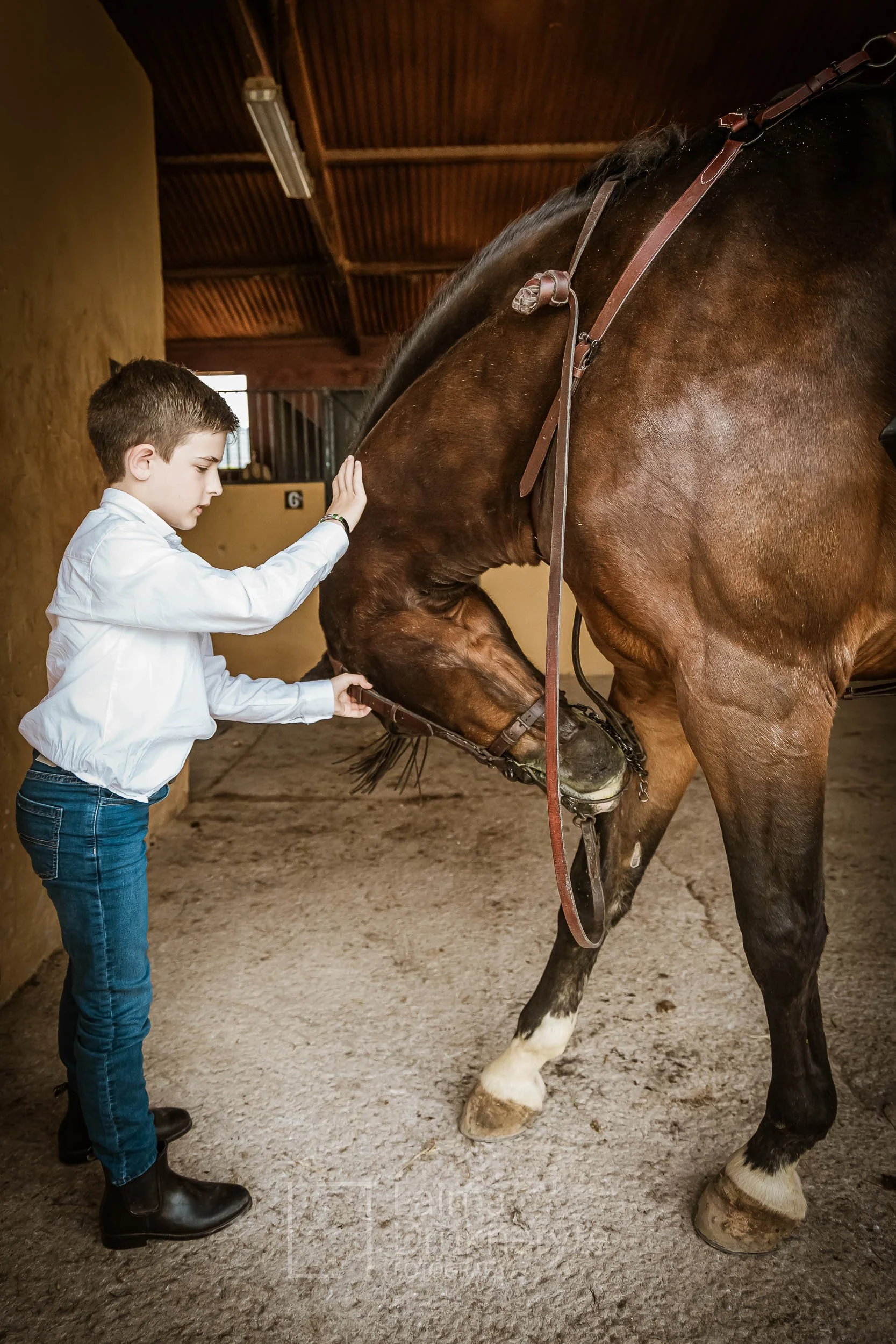 laimafoto.lt-260425. 00010.jpg