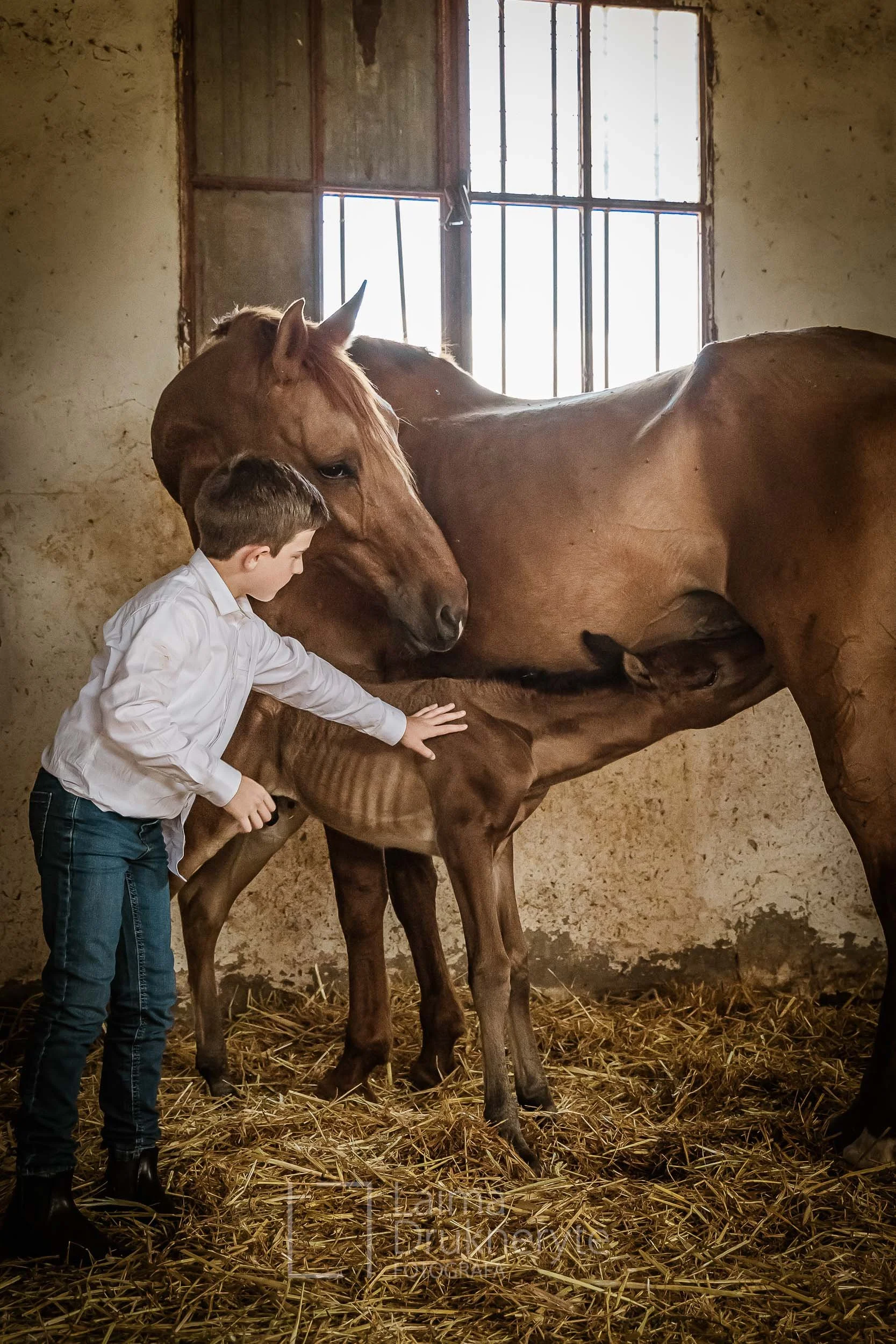 laimafoto.lt-260425. 00121.jpg