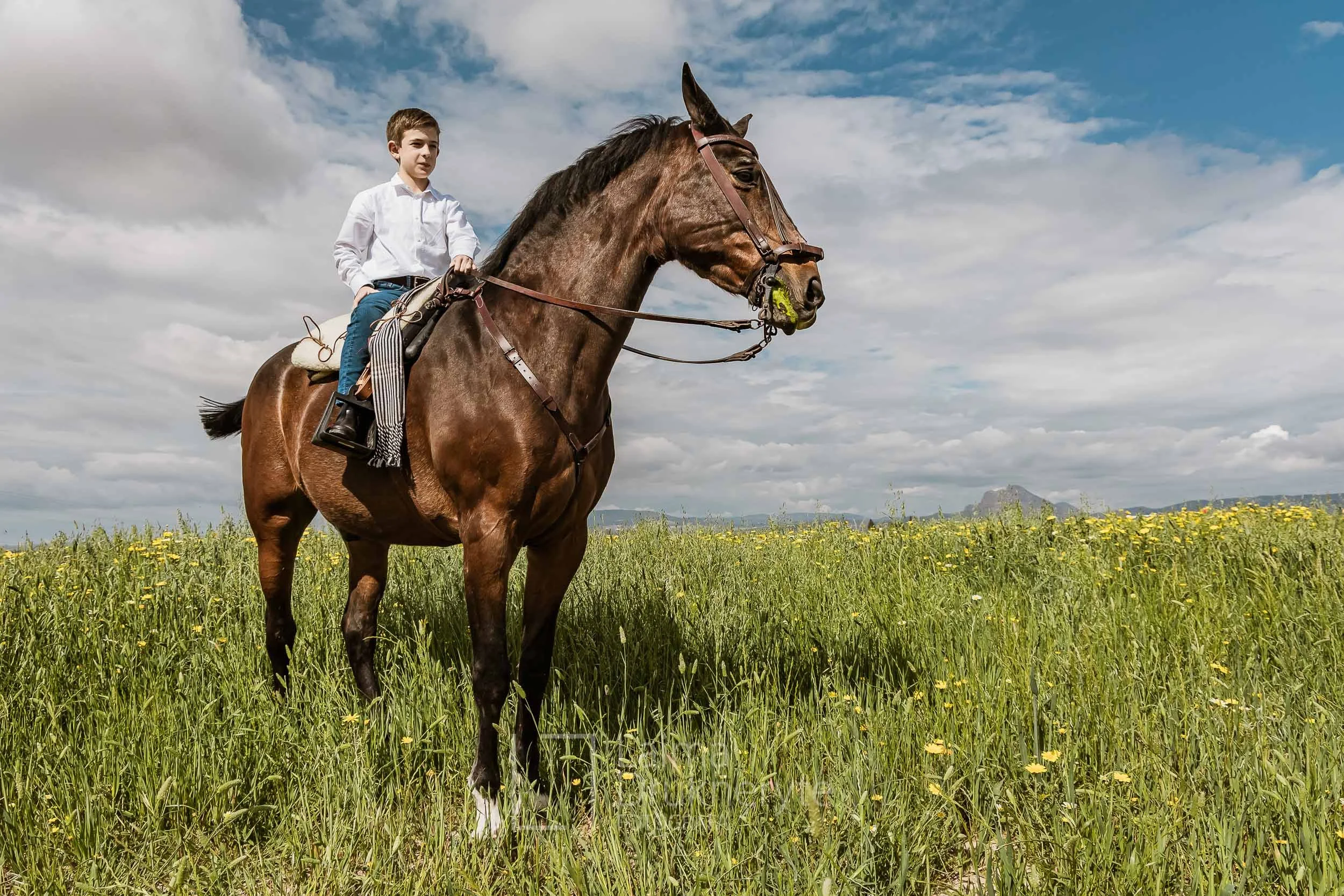 laimafoto.lt-260425. 00064.jpg