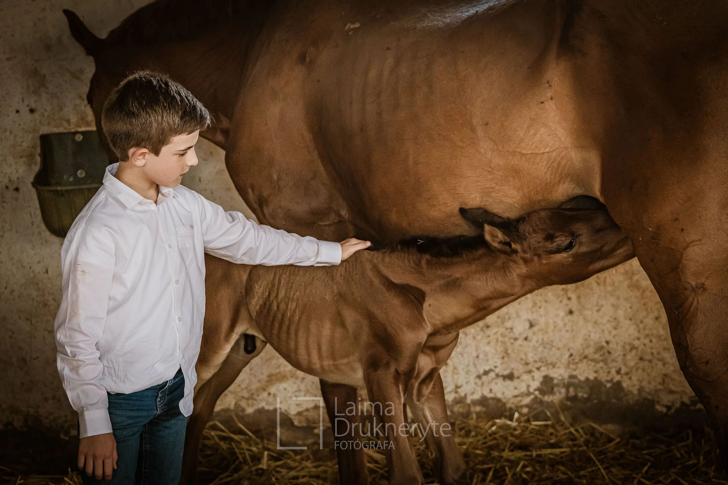 laimafoto.lt-260425. 00122.jpg