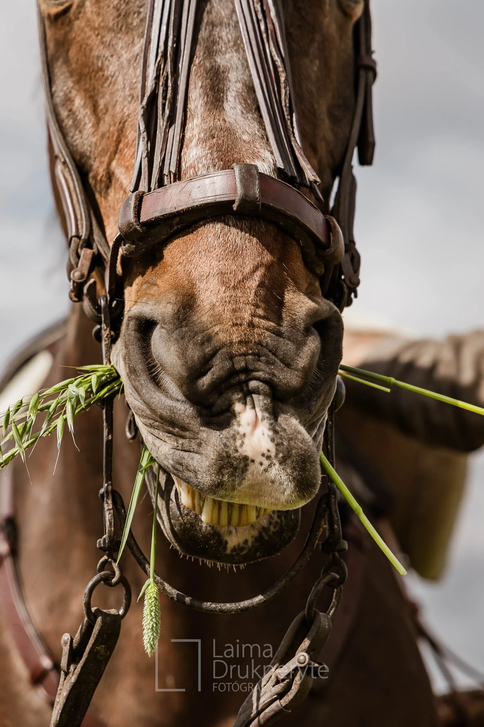 laimafoto.lt-260425. 00059.jpg