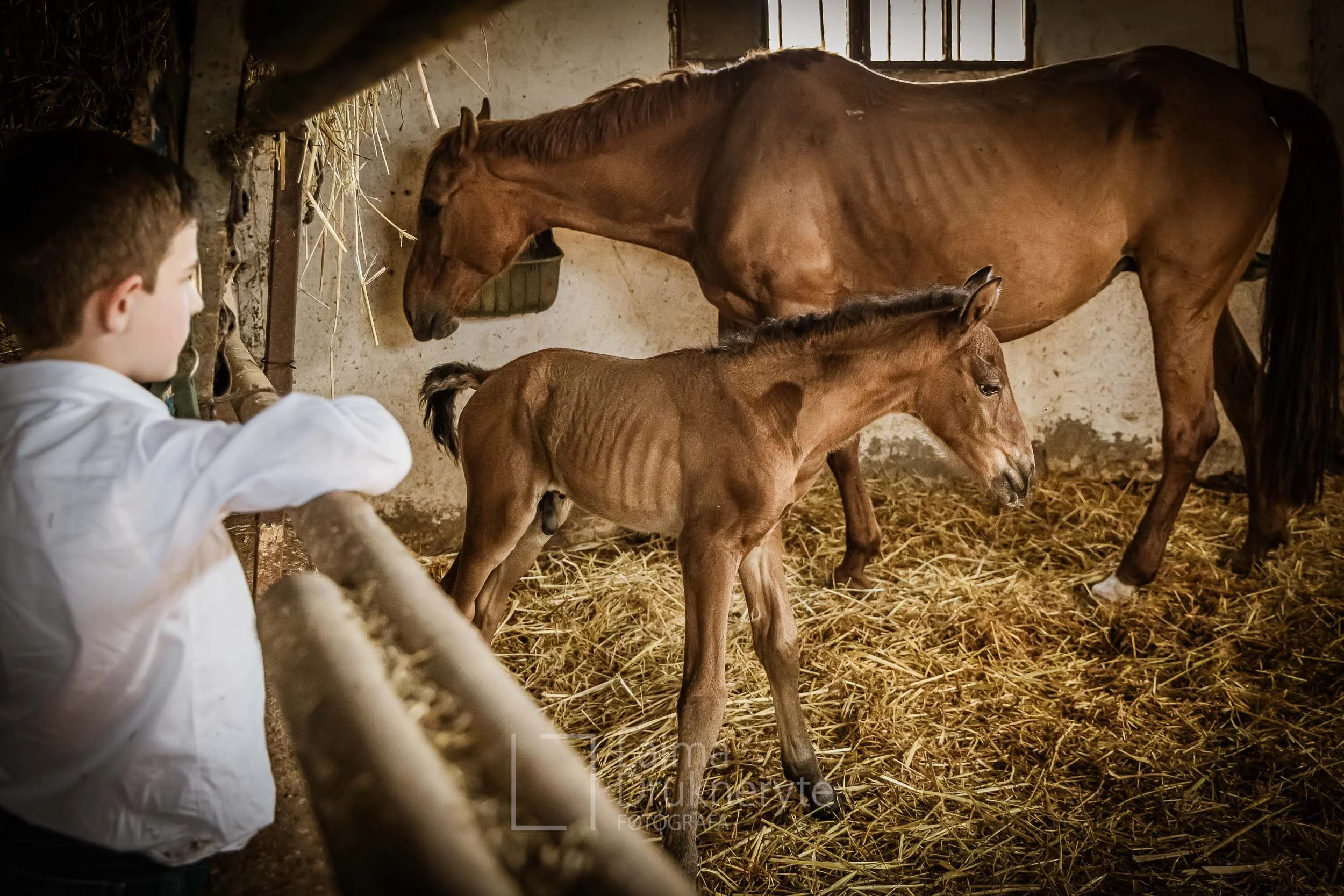 laimafoto.lt-260425. 00114.jpg