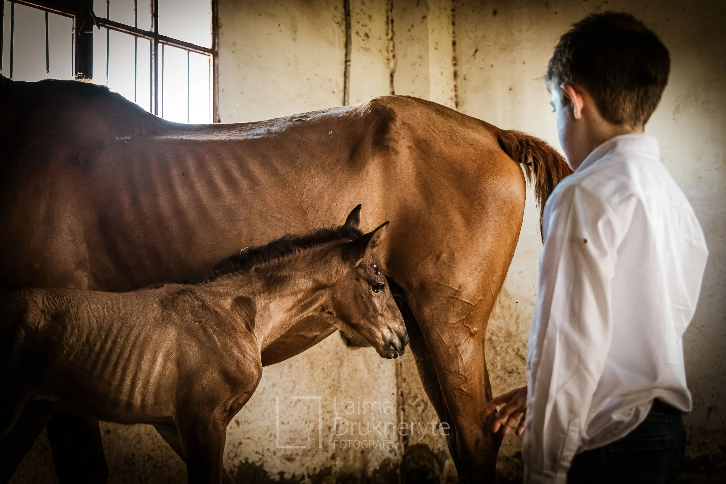 laimafoto.lt-260425. 00118.jpg