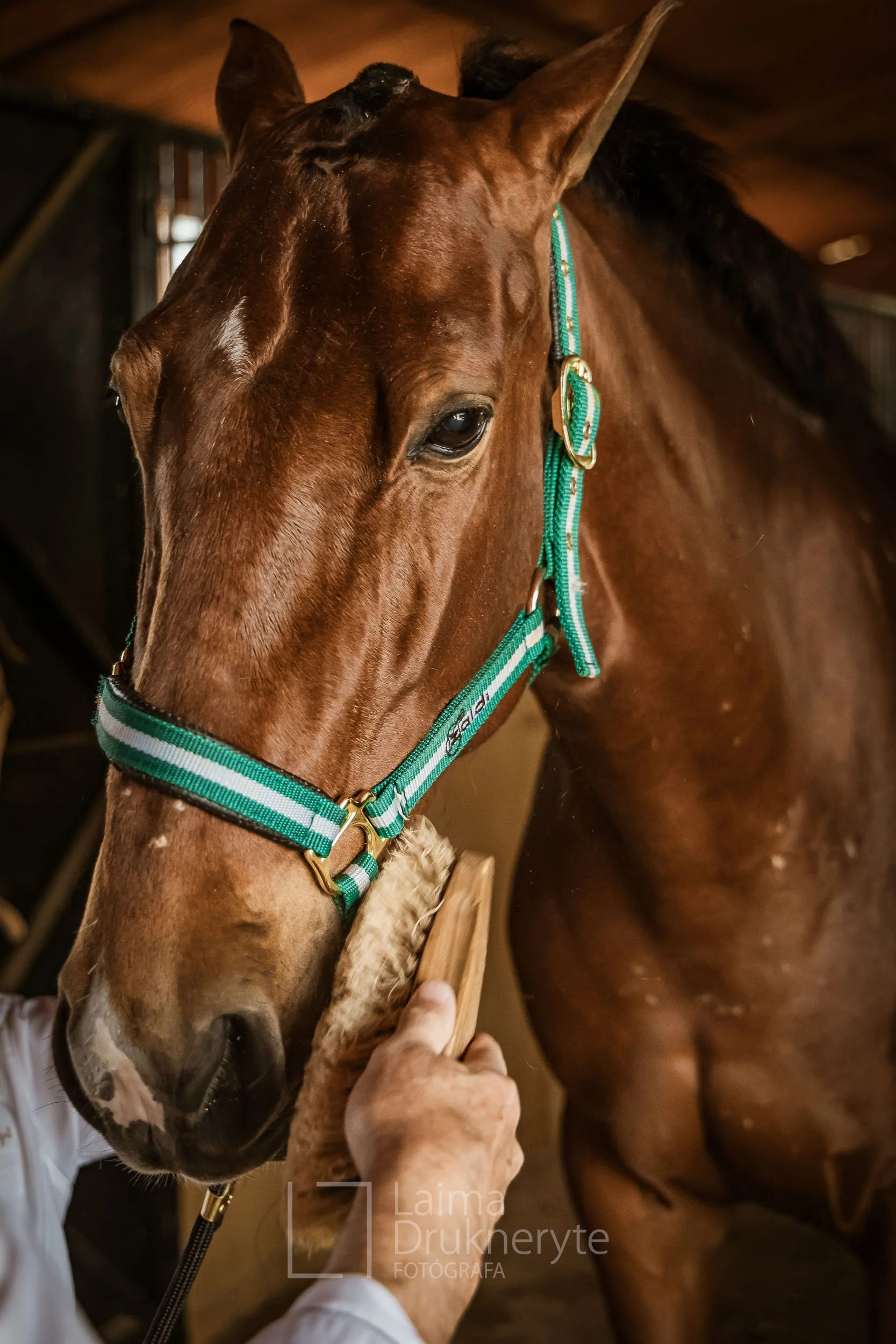 laimafoto.lt-260425. 00030.jpg