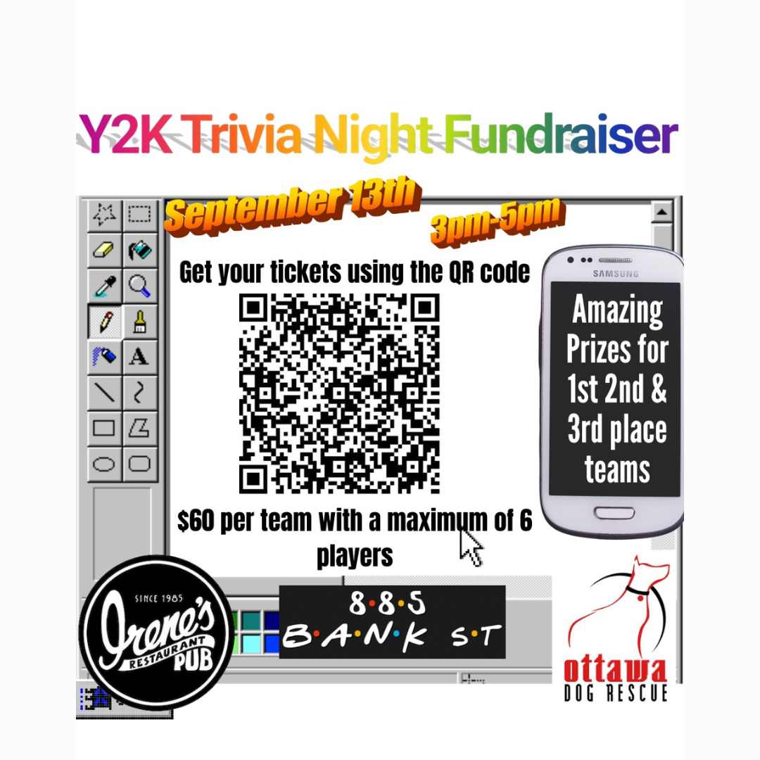 Y2K Trivia Fundraiser for Ottawa Dog Rescue