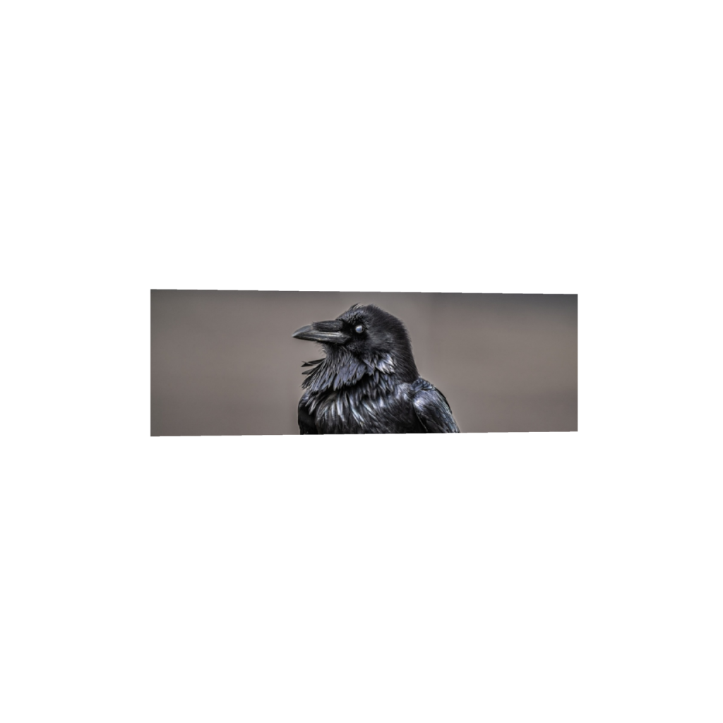 ptq_1_2_0_0_6000_2000_0_false_ffffff_0_0_.png