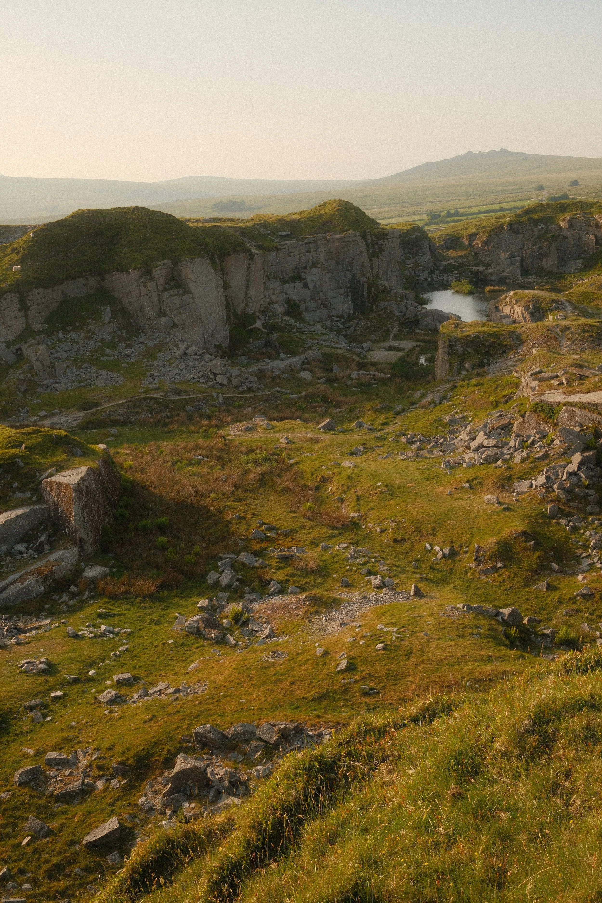Wildlife & Nature Foggintor Quarry