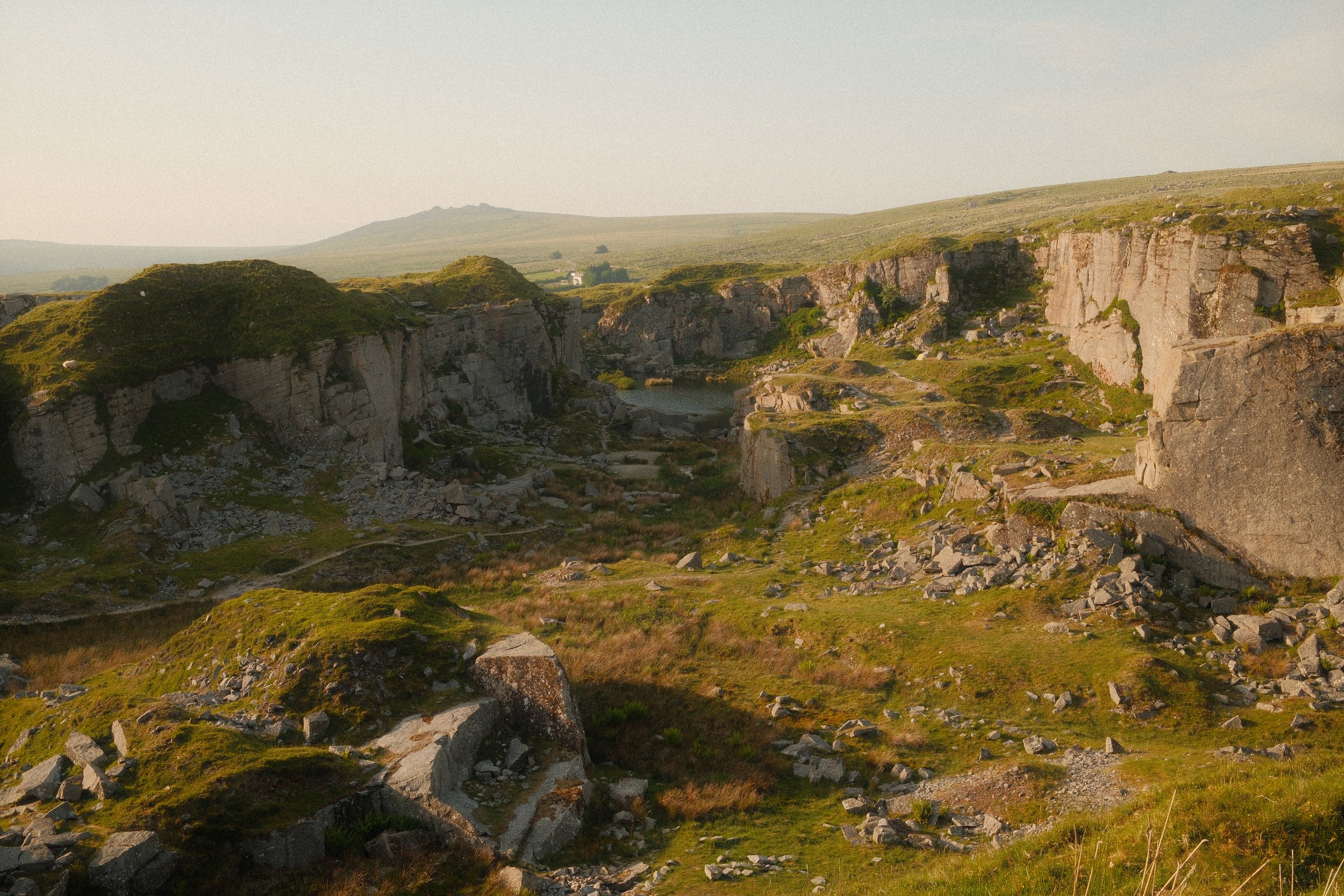 Wildlife & Nature Foggintor Quarry