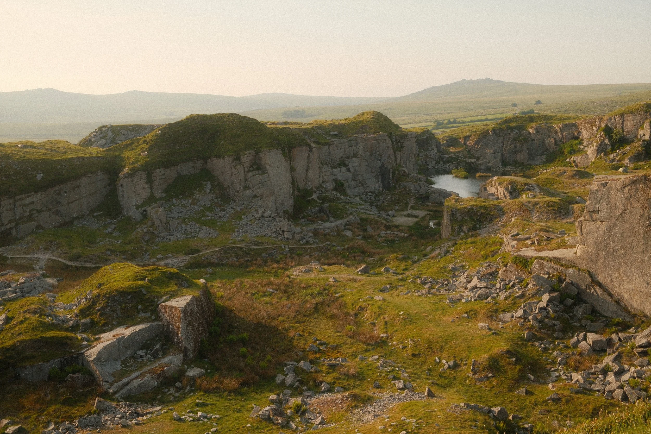Wildlife & Nature Foggintor Quarry