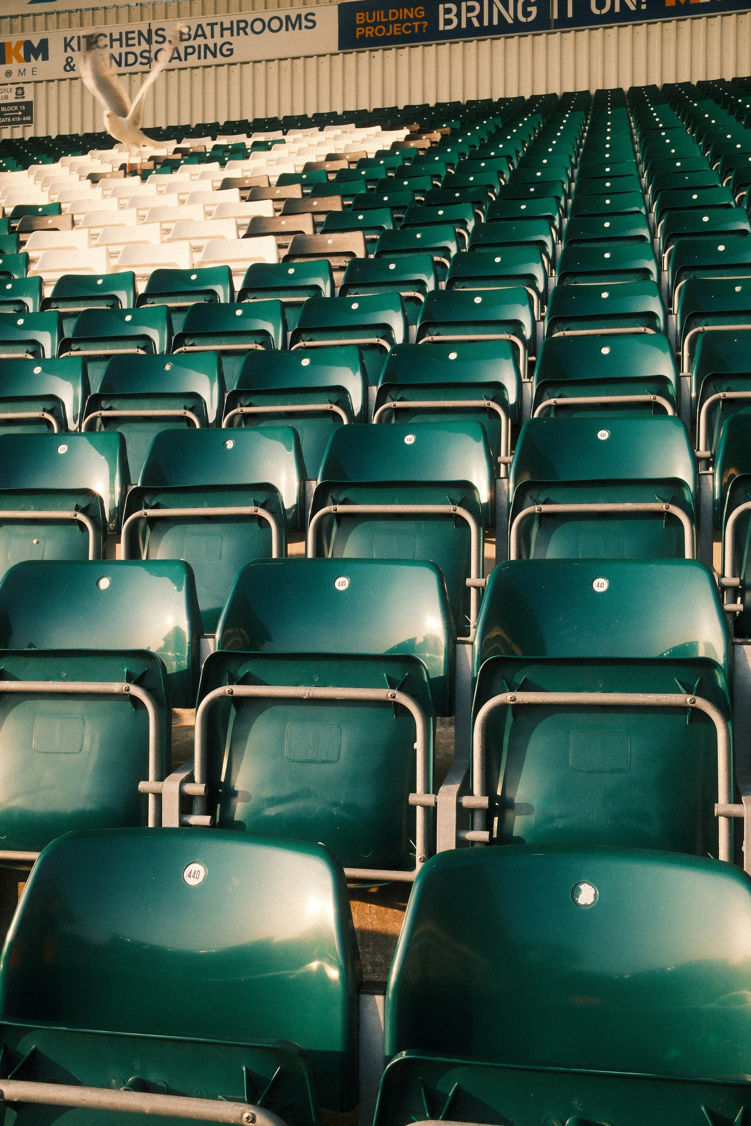 Plymouth Argyle Football Club