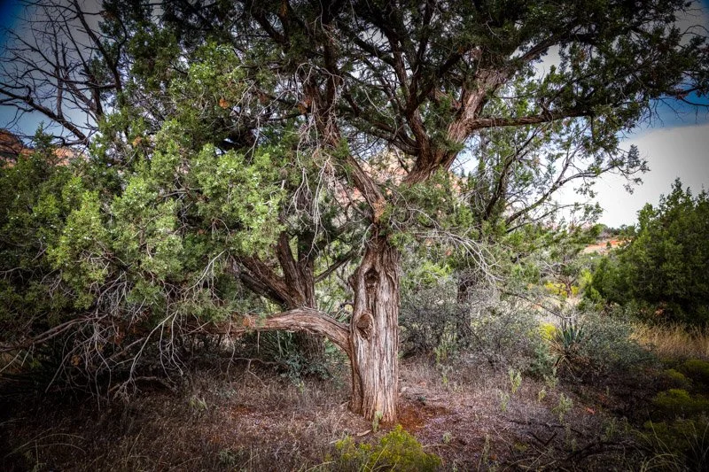 untitled (1 of 16).jpeg