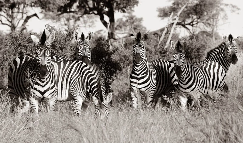 untitled (18 of 57)-2-2.jpeg