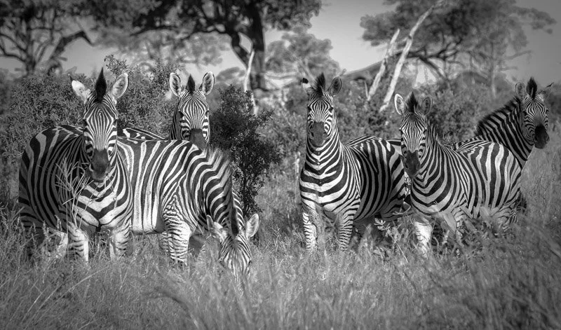 untitled (18 of 57)-2.jpeg