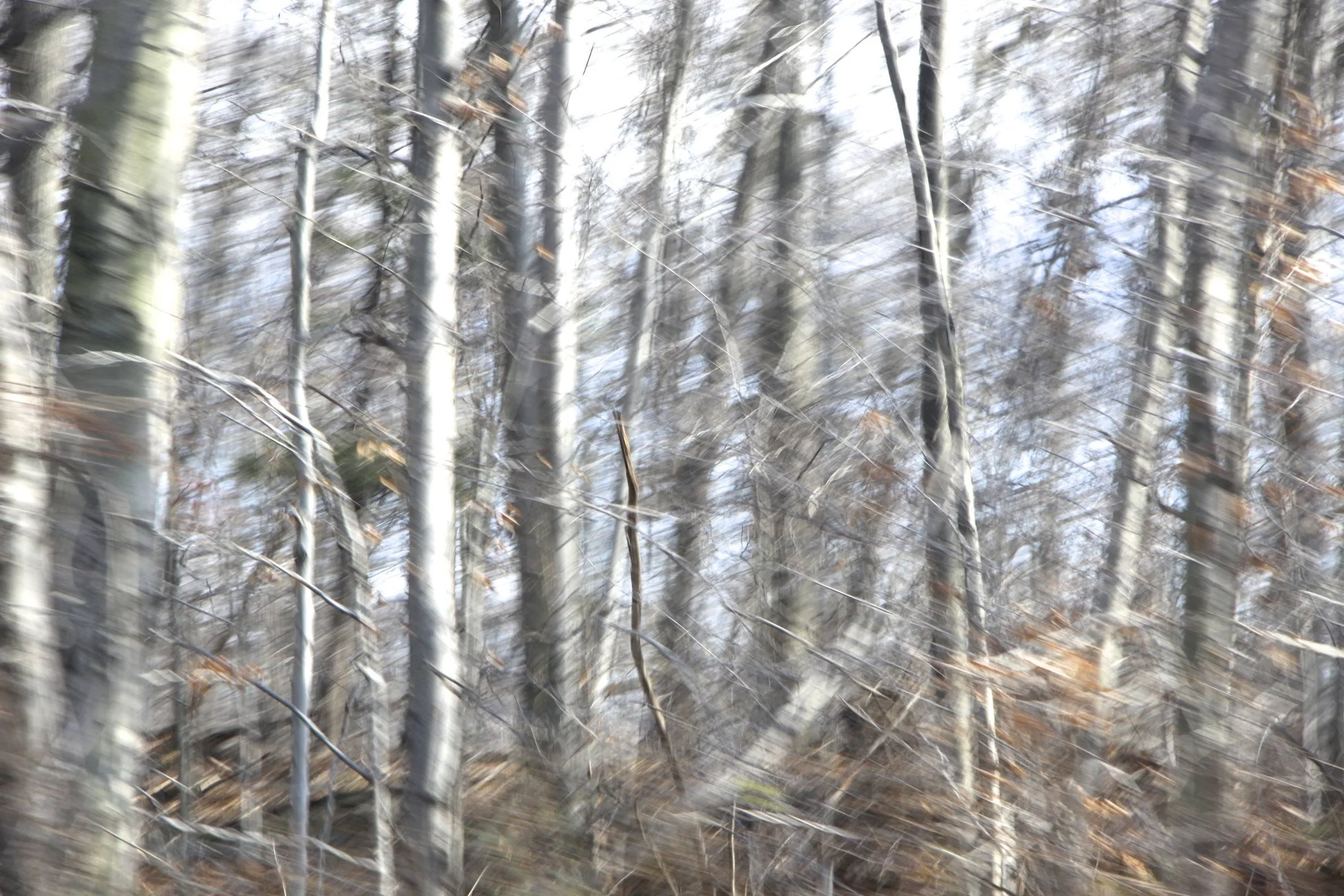 IMG_4956 - Version 2.jpg