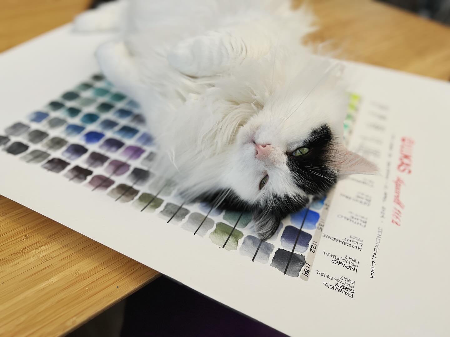 My finished colour mixing reference chart for my 24 tubes of @lukasfarben #aquarell1862 is apparently also cat-friendly. #acatnamedmilton has been &ldquo;patiently&rdquo; waiting for me to clear the conservatory table of this project, and I&rsquo;m v