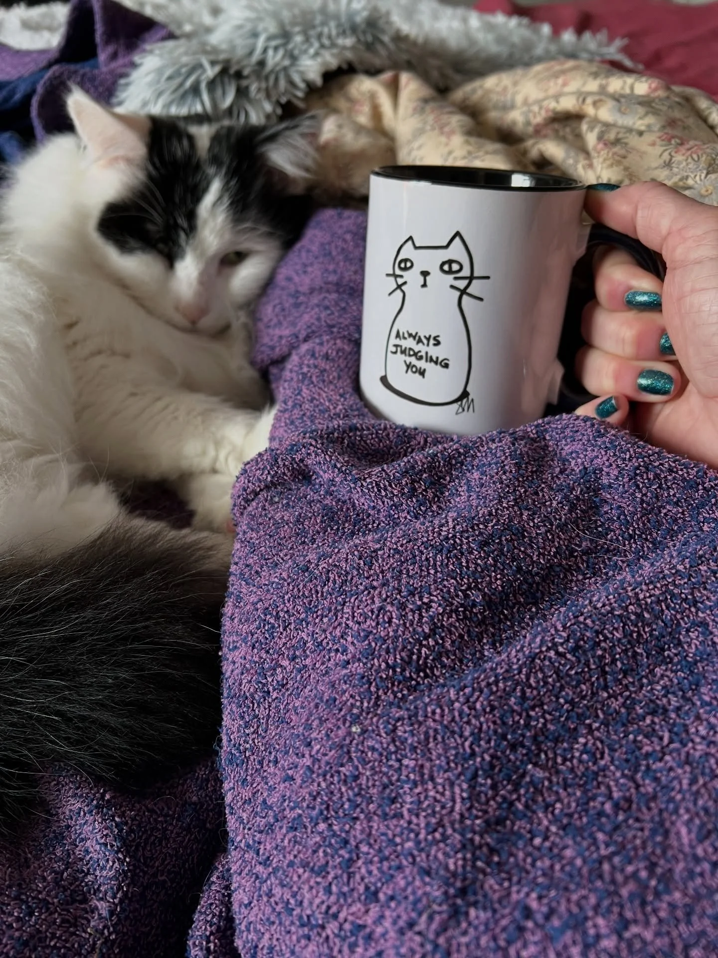 Origin story: my cat illustration was inspired by a semi-feral old farm cat (#notmycat, for those who have been with me here for years or spotted him in one of my @skillshare classes when he interrupted filming) who bonded with me during Covid lockdo