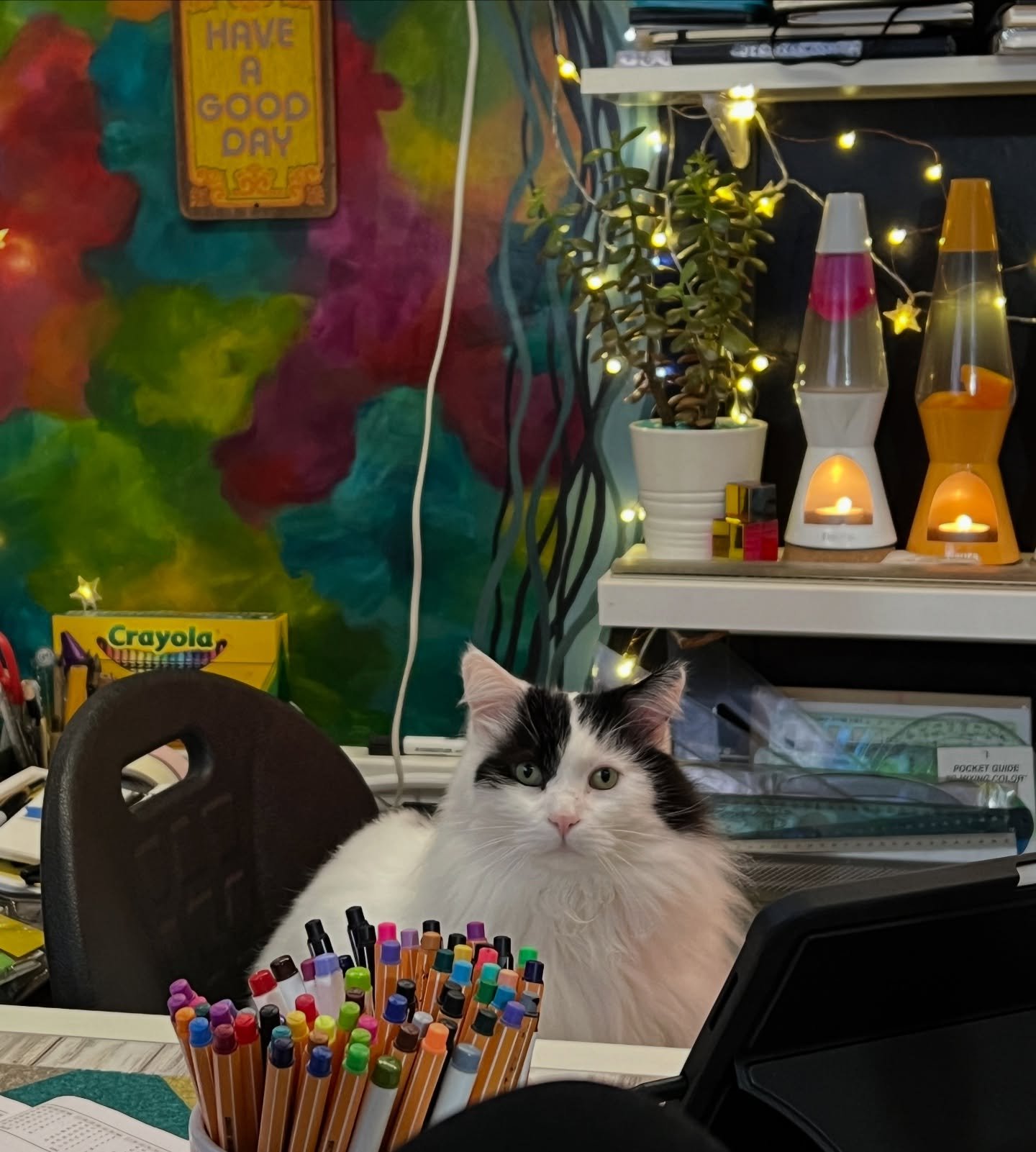 Just my dude Milton, looking like he&rsquo;s about to announce his new YouTube art channel&hellip; My cat is a doofus. ❤️ 
#acatnamedmilton #studiocat #behindthescenes