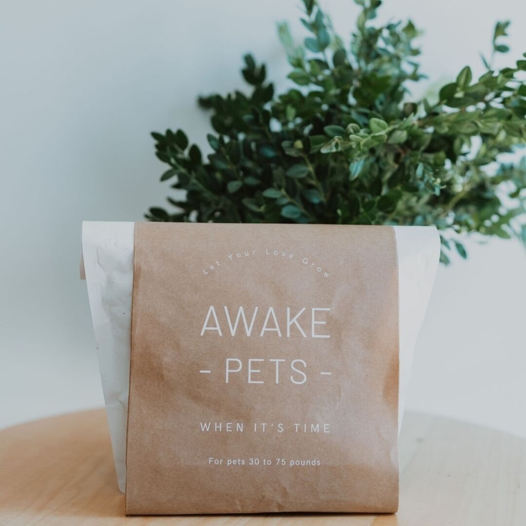 #DYK cremation ashes are toxic to plants and the environment? We use world-leading soil science to truly return cremated remains to earth&mdash;while nourishing new life.
Find out how at https://zcu.io/AY2H

-

#petparents #fourleggedfriend #rainbowb