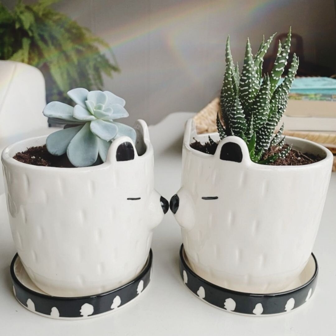 *HOLIDAY GIVEAWAY* 

How are you remembering your pet this holiday? Share your Christmas keepsake or tradition, and tag a loved one that you celebrate with. We'll enter you BOTH in our holiday giveaway for these matching memorial polar bear planters.