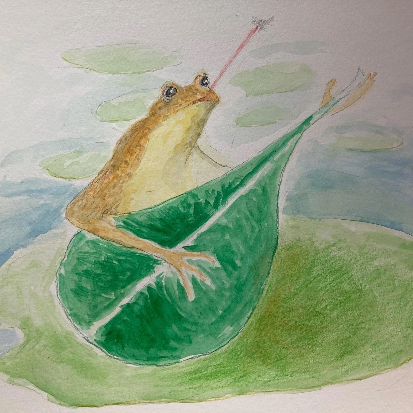 Watercolor and watercolor pencil, 11x15