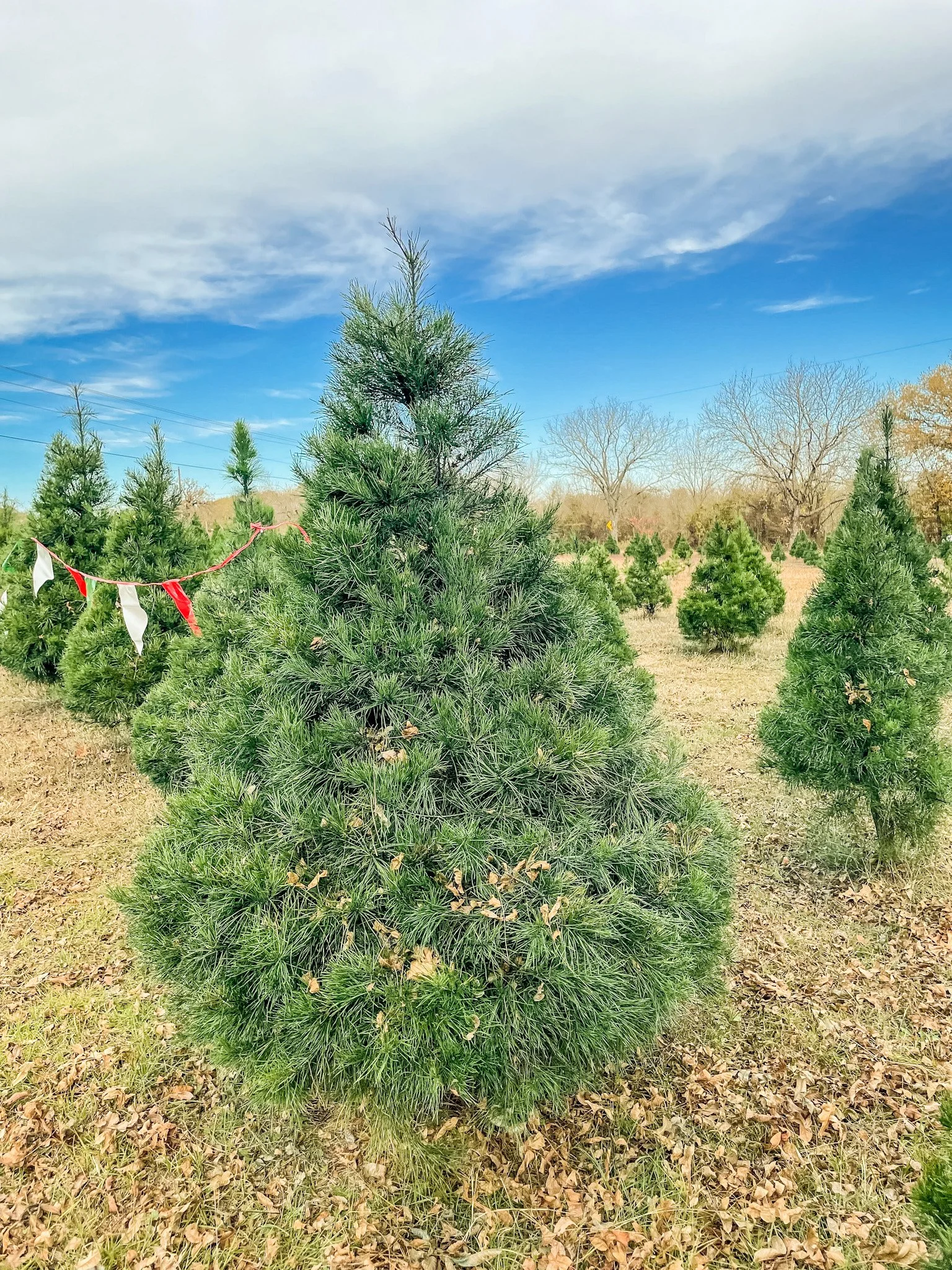 Texas Travel and Outdoor Adventure Blog