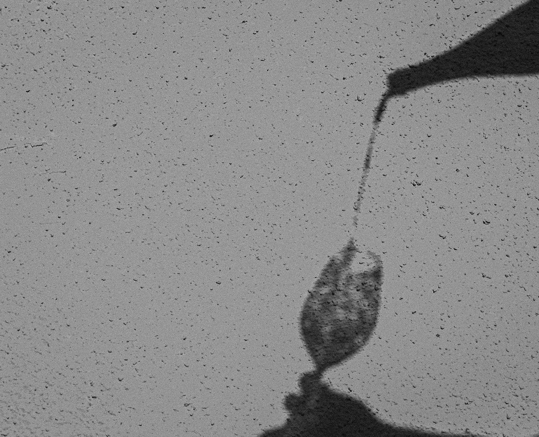 A new release is pouring soon &mdash; delivered right to your door. Stay tuned. 👀

#newrelease