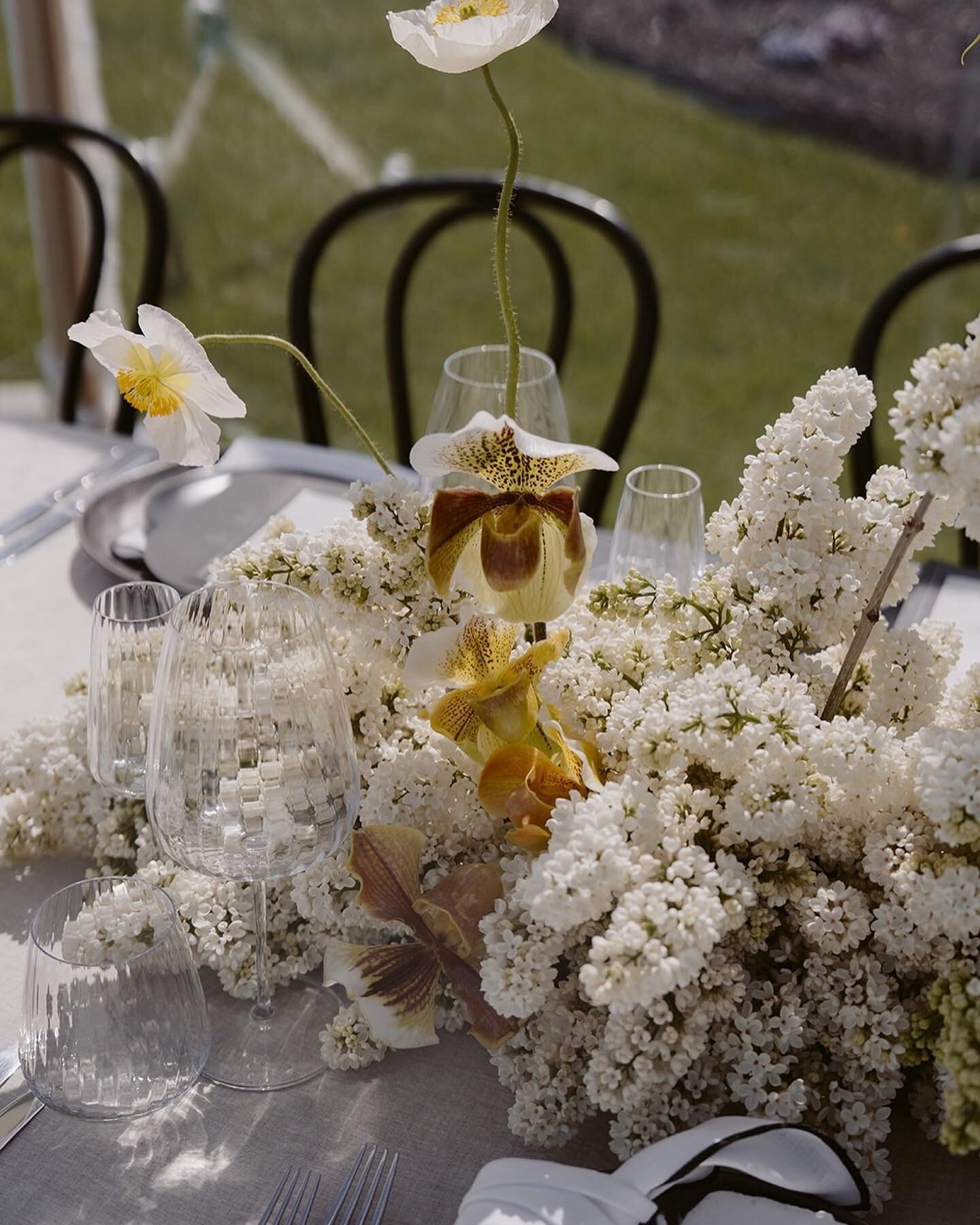 We love a little centrepiece moment.

At the Wild Hearts Wedding Fair in Wānaka we created three unique tablescapes alongside these beautiful vendors.

@trulyyours_events 
@littlebotanica__ 
@olivelinen_nz 
@hayleythehirer 
@revelandlight 
@weeping.w