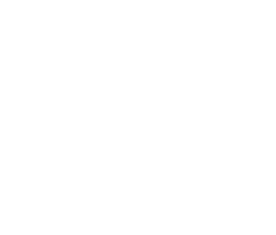 Digital Dramaturgy Initiative