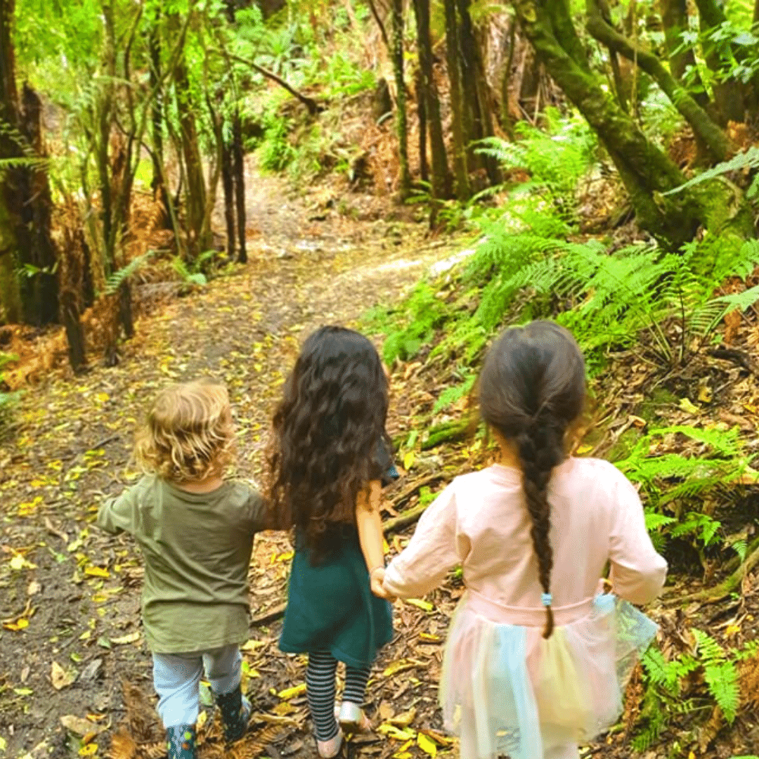Whanau Tree House: Puna Reo: Childcare: ECE: Ngahere: Wainuiomata: NZ