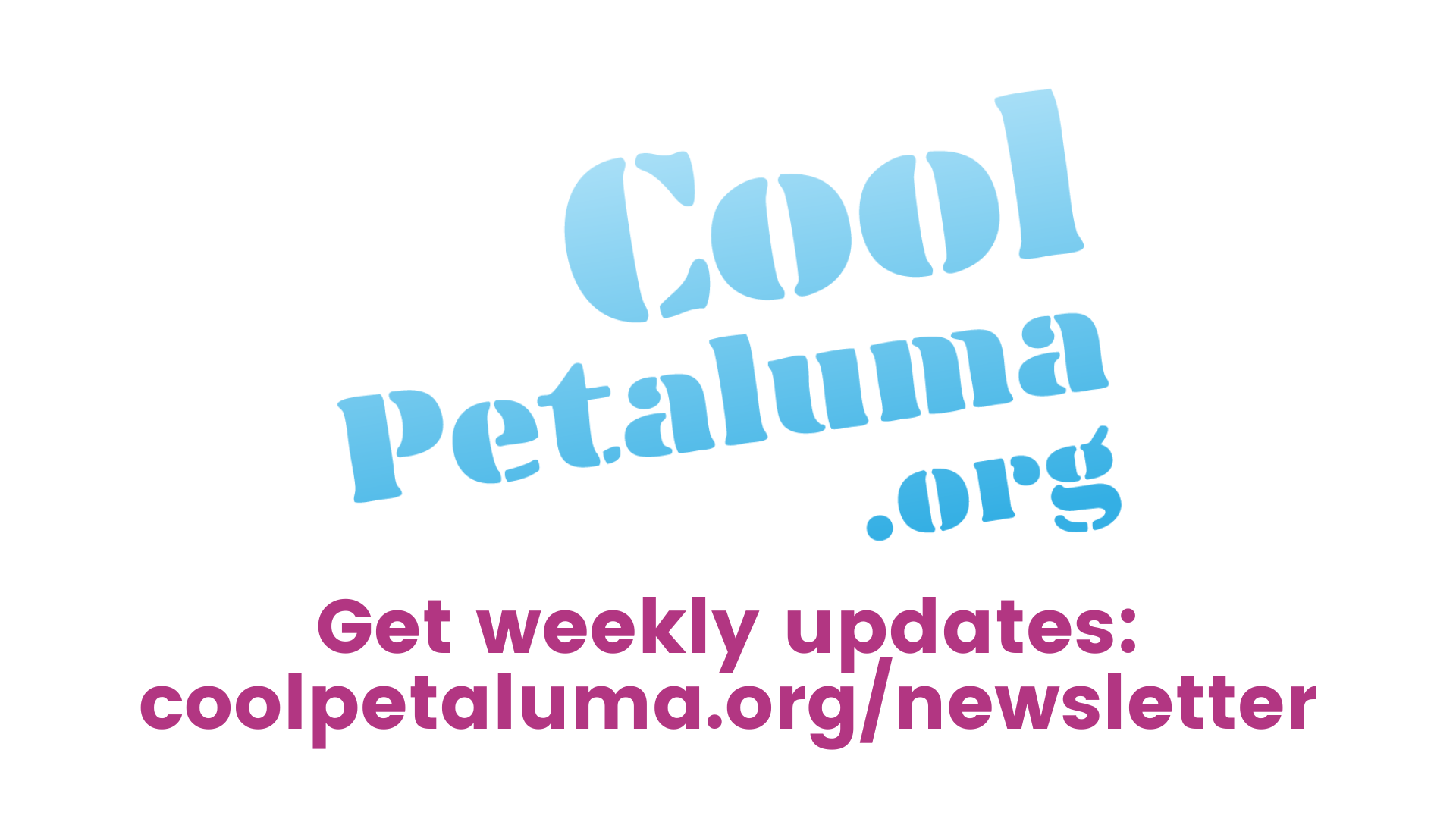newsletter.png