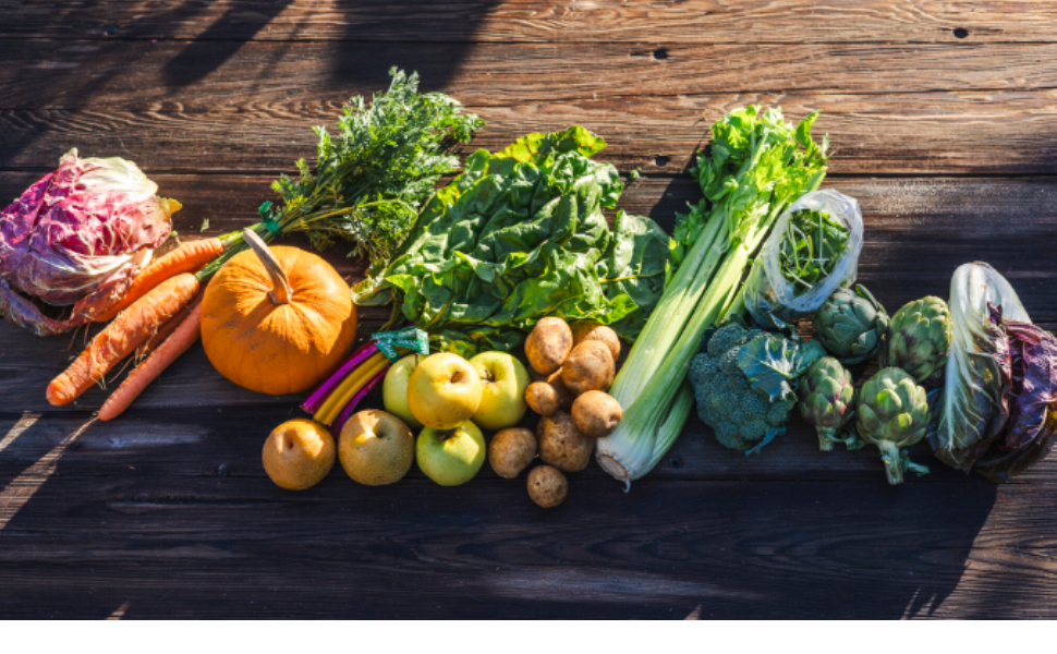 Produce and Pantry Food Share August 2025