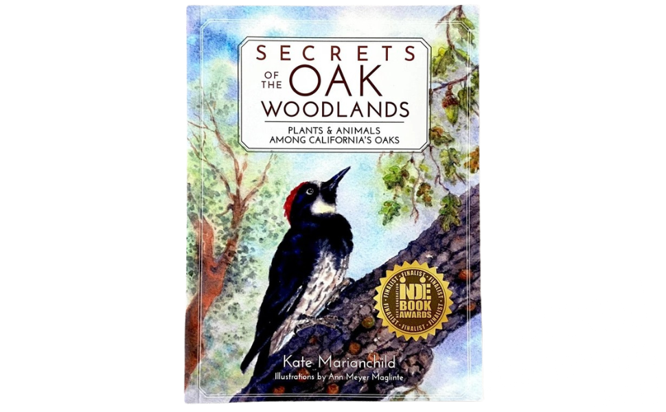 Book Club - Secrets of the Oak Woodlands