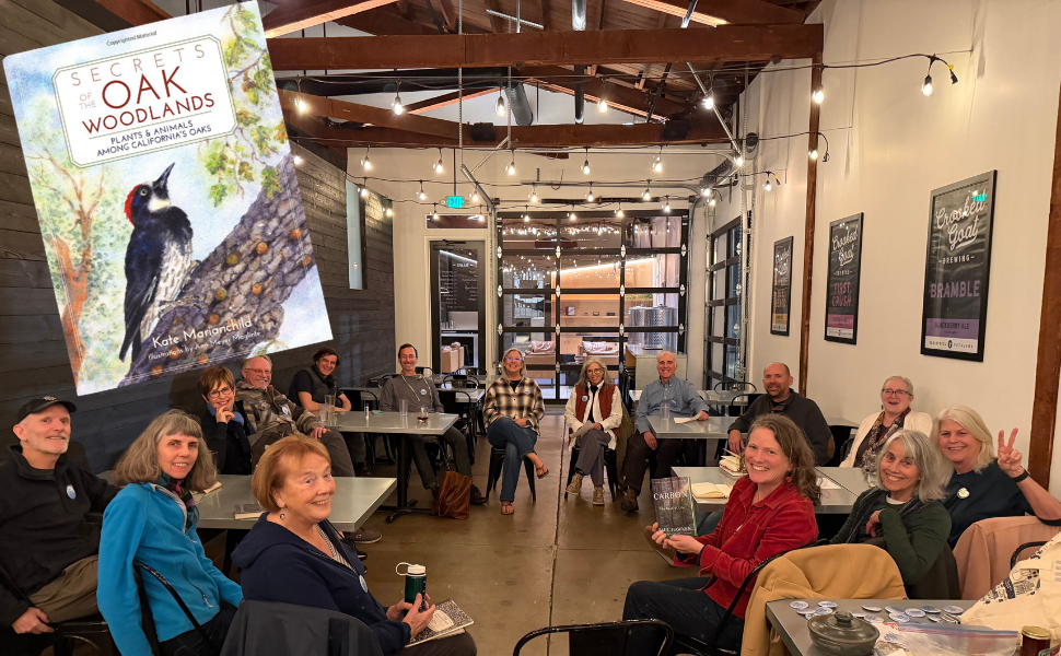 Book Club - Secrets of the Oak Woodlands