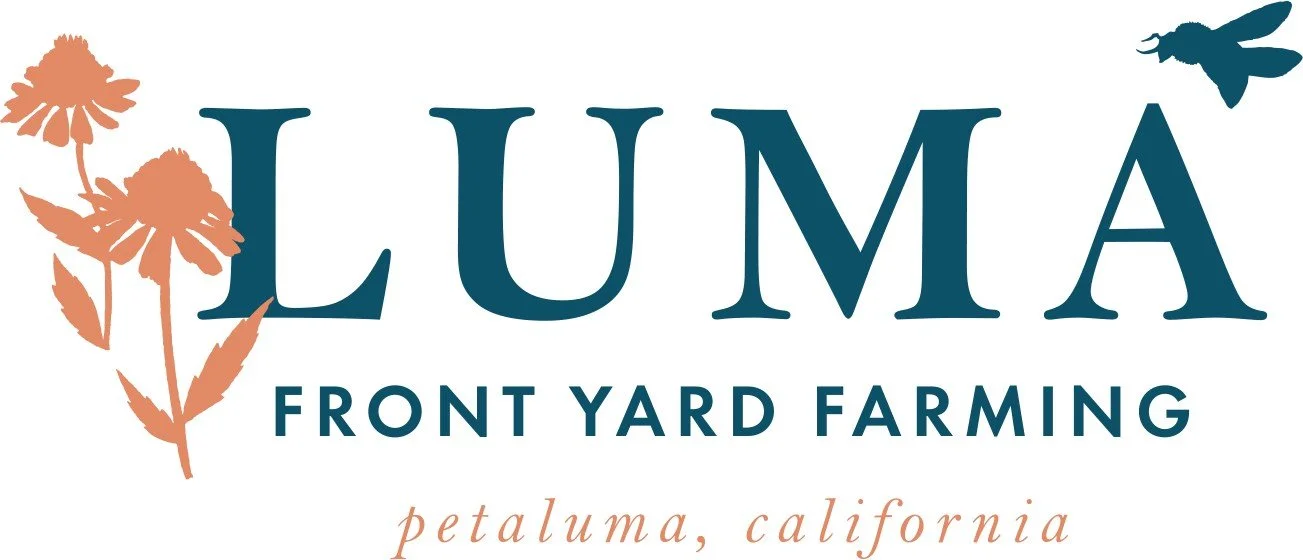 Luma Front Yard Farming