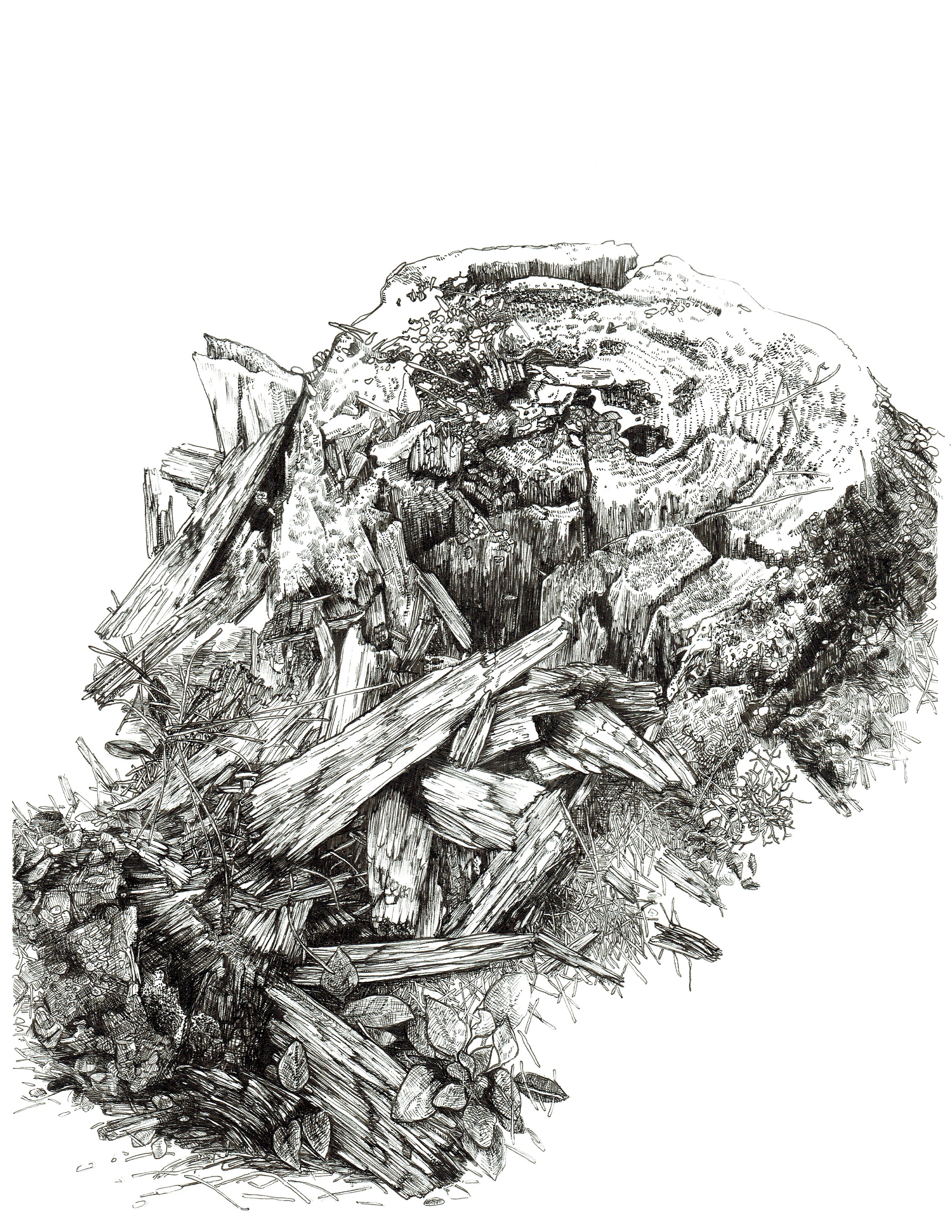 "Severed". ink on Bristol paper. 2020.